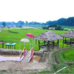 tondok bakaru
