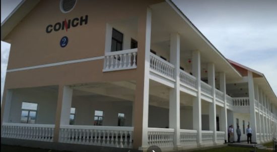 pt coinch